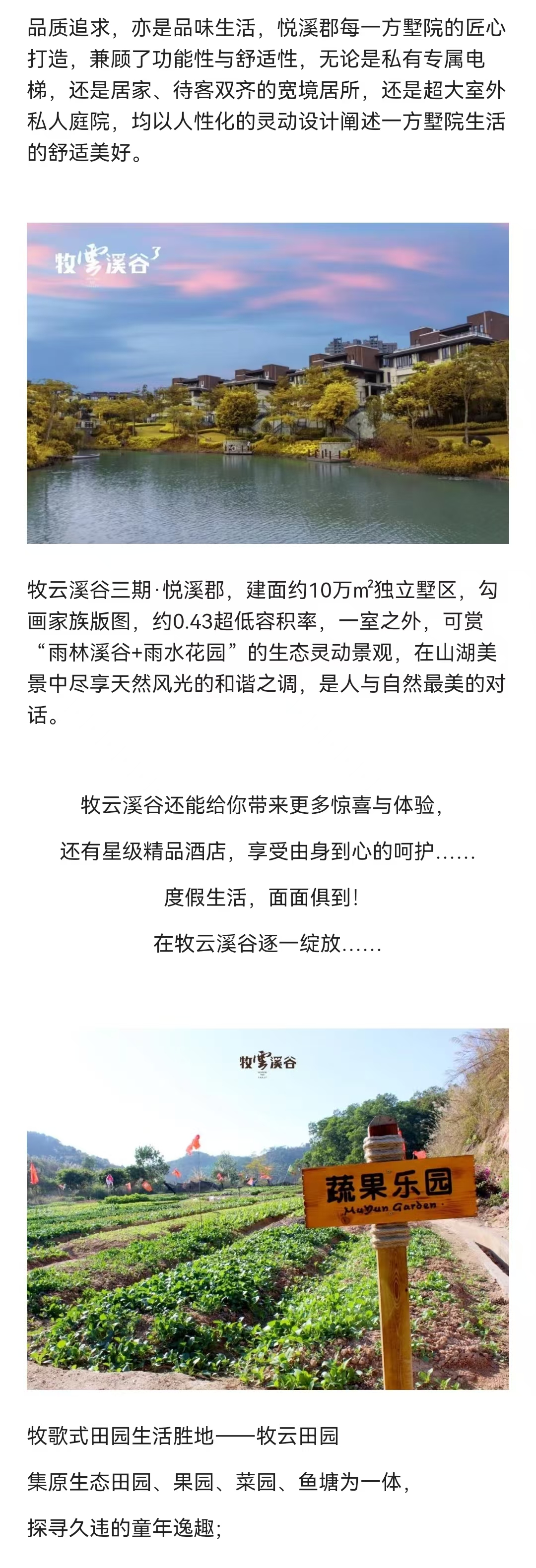 1745893616843355.jpg 6ee0995d575f80fd9cd1b1773fa9c2e.jpg