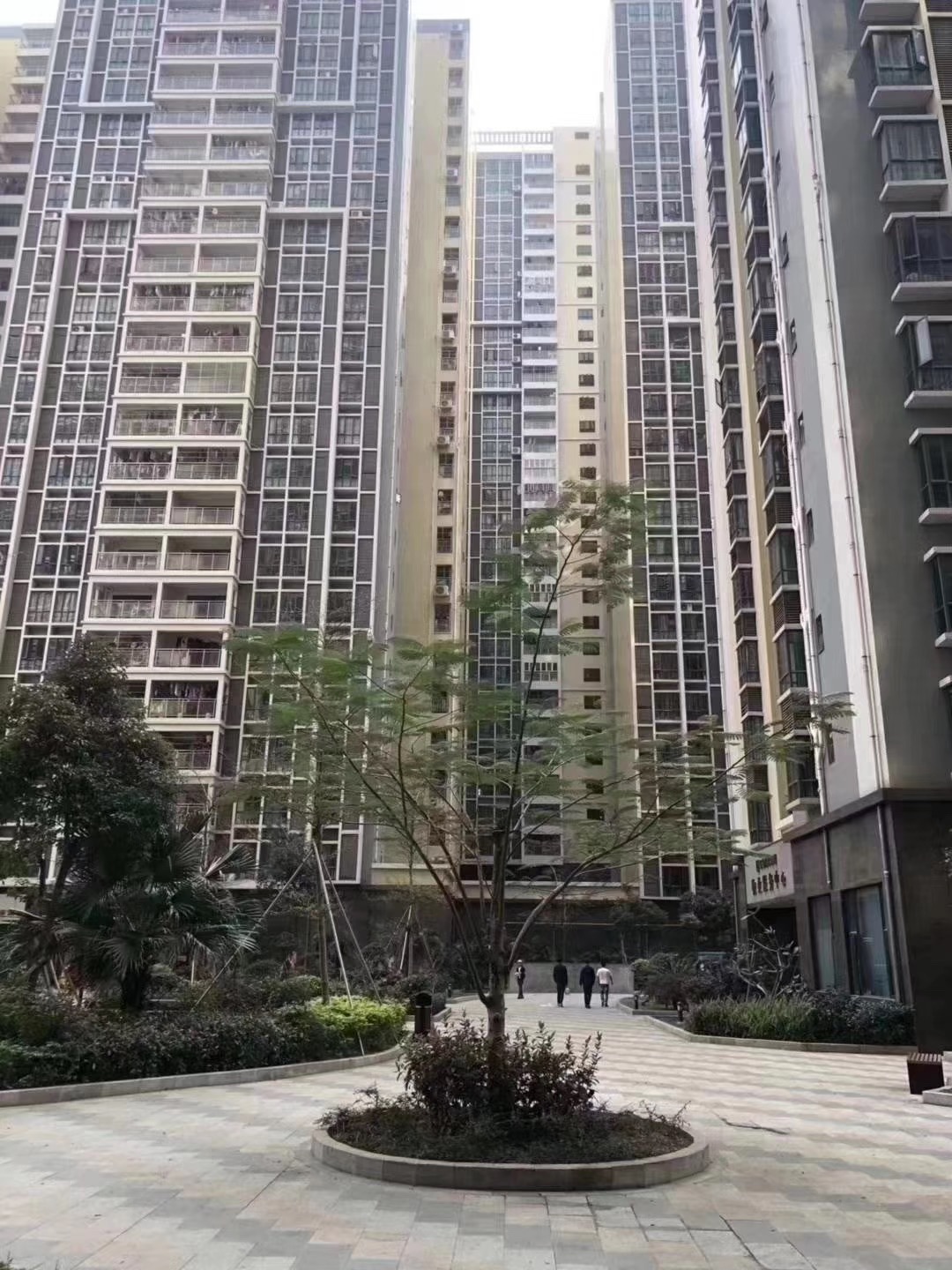 松崗村委統建樓