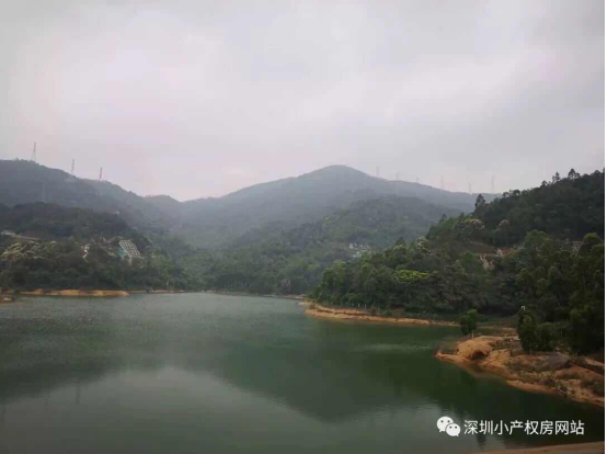 山水綠園一房一廳56平方，56.8萬/套起