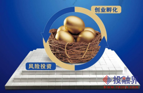 風(fēng)險(xiǎn)投資公司為一專業(yè)的投資公司